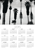 Palm Trees in Silhouette  California  1958