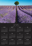 Lavender Field and Almond Tree in Provence