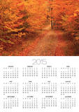 Unpaved Road in Autumn