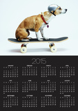 Dog with Helmet Skateboarding