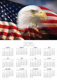 Bald Eagle Head and American Flag
