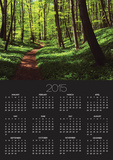 Path in beech forest