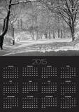 Central Park in Winter