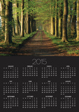 Tree-Lined Path