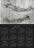 Study of Arms