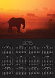Elephant Herd Silhouetted Against Orange Sky