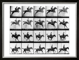 Man and Horse Jumping  from "Animals in Motion"  London  Published 1907