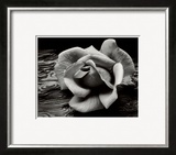 Rose and Driftwood  San Francisco  California