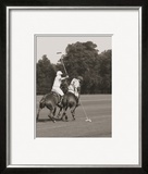 Polo In The Park II