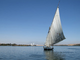Felucca on the Nile River  Egypt