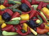 Heirloom Sweet Pepper Harvest
