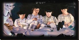 The Milk Bar