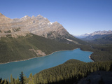 Peyto Lake with its Turquoise Color from Finely Ground Rock Called Glacier Flour