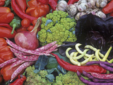 Colorful Italian Heirloom Vegetable and Fruit Harvest  Seed Savers Exchange