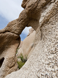 Small Arch in Weathering White Tank Monzonite Granite  Joshua Tree National Park  California  USA