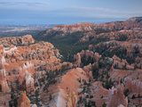 Bryce Canyon National Park  Utah  USA
