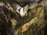 Lower Yellowstone Falls  Grand Canyon of the Yellowstone River  Yellowstone National Park  Wyoming