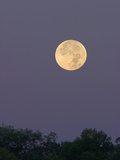 Full Moon