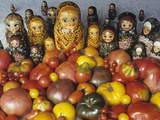 Tomato Variety from Russia with Russian Dolls