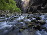 The Virgin River and Virgin River Canyon in Zion National Park  Utah