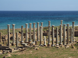 Eastern Church  Apollonia  Greek and Roman Ruins  Libya