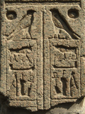 Hieroglyphics at Memphis  Egypt