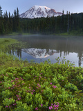 Mt Rainier National Park  Reflection Lake  Mt Rainier  Washington  USA