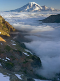 View of Mt Rainier Above the Clouds from the Goat Rocks Wilderness  Washington  USA
