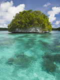 Small Island in Palau  Micronesia  Note The Wave Eroded Base of The Island