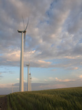 Wind Power Alternative Energy Turbines  Oregon  USA