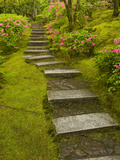 Azaleas and Stairs in the Natural Garden  Japanese Garden  Portland  Oregon  USA