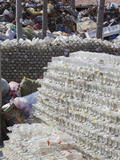Plastic  Glass  and Other Solid Waste Collected for Recycling