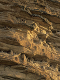 Tombs in the Bandiagara Escarpment  Falaise De Bandiagara  Mali