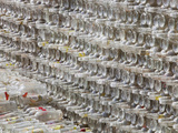 Stack of Bottles for Recycling  China