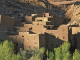 Berber Village  Near Todra Gorge  Morocco