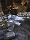 Virgin River Canyon in Zion National Park  Utah  USA