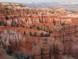 Hoodoos in Bryce Canyon National Park  Utah  USA