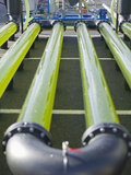 Algae Growing System Being Used to Make Ethanol and Biodiesel