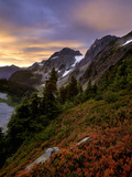 Fall Huckleberry on the Hillside Above Cascade Pass  North Cascades National Park  Washington  USA