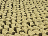 Mud Bricks Drying in the Sun  Mali