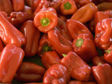 Red Bell Peppers  Farmers Market  South Carolina