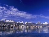 Ushuaia Harbour  Tierra Del Fuego  Argentina