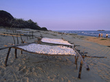 Cassava Drying in the Sun on the Shore of Lake Malawi  Malawi