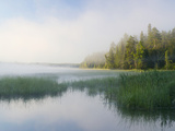 Lake Itaska  the Headwaters of the Mississippi River  Itaska State Park  Minnesota  USA