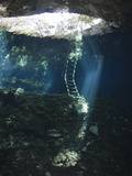 Entrance of Gran Cenote  Tulum  Yucatan Peninsula  Mexico