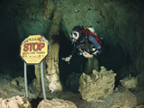 Scuba Diver in Car Wash Cenote  Aktun Ha  Tulum  Yucatan Peninsula  Mexico  Model Released