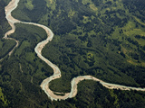 Aerial Image of a Meandering Stream  Glacier Bay National Park  Alaska  USA