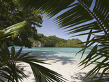 Sandy Beach in Rock Islands  Micronesia  Palau