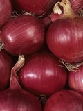 A Harvest of Mars Variety Red Onion Provides Vitamin C and Fiber