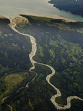 Aerial Image of a Meandering Stream  Glacier Bay National Park  Alaska  USA